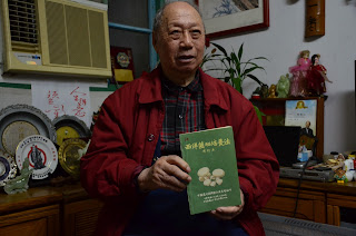 蟾蜍山的記憶拼圖